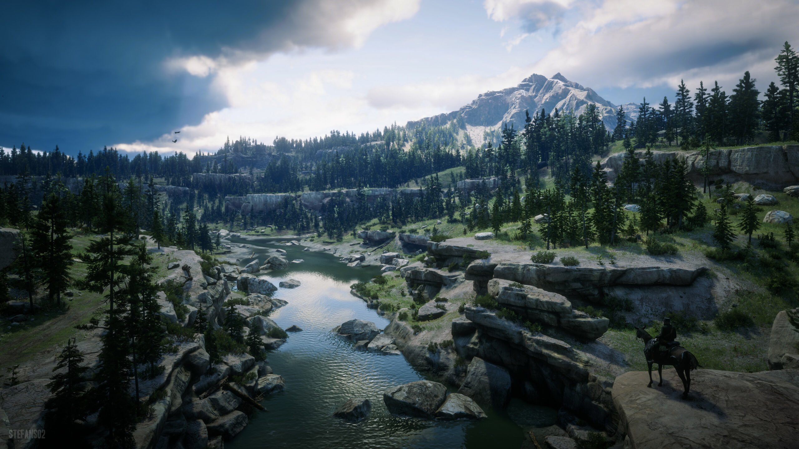 50275299608_d28b77e6db_4k